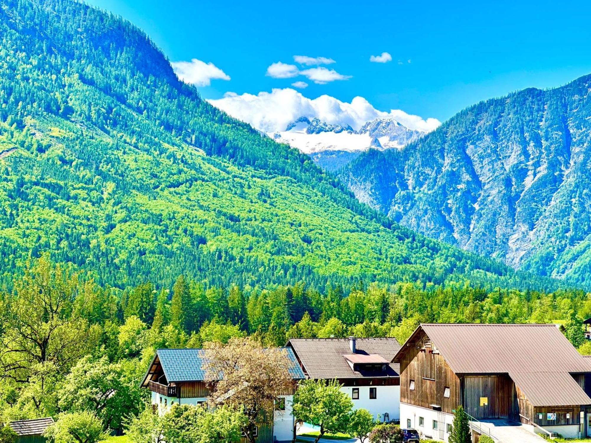 Das Alpenzeit Appartement Mit Just Private Terrasse (Adults Only) Bad Aussee Luaran gambar
